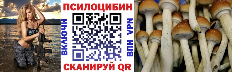 Купить где  Кизилюрт  Псилоцибиновые грибы мицелий 